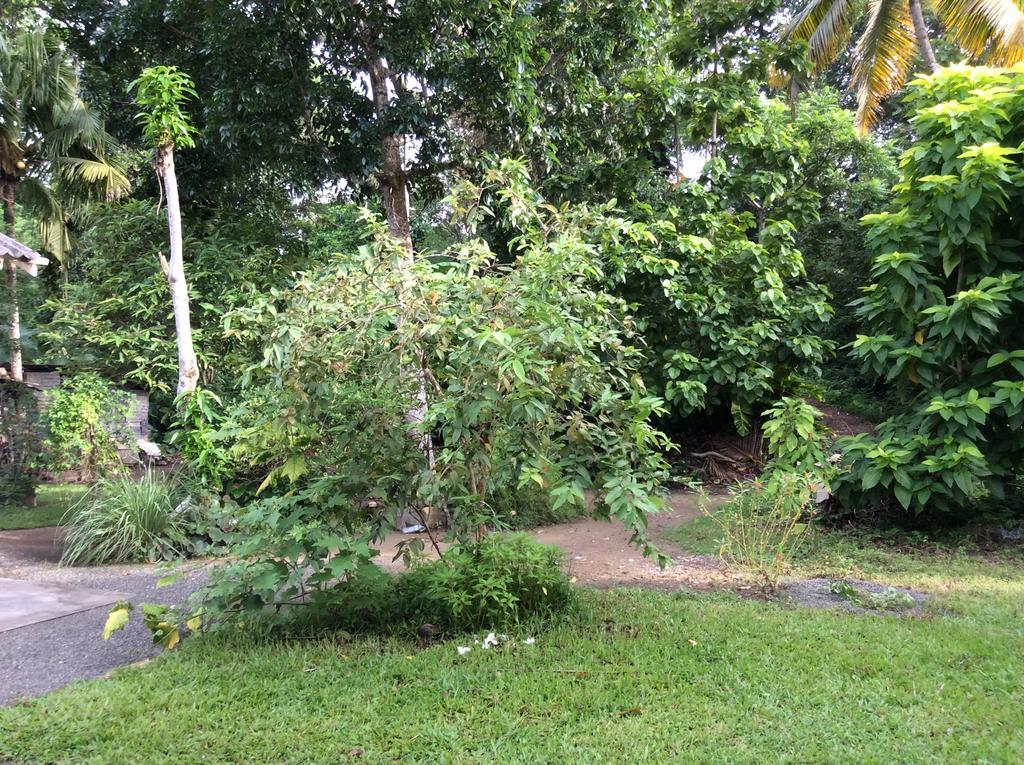 Fern Dale Villa Weligama Bilik gambar